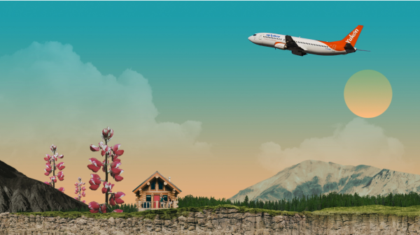 SUmmer montage with 4N