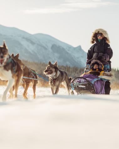 Dogsledding on a frozen lake surrounded by mountains