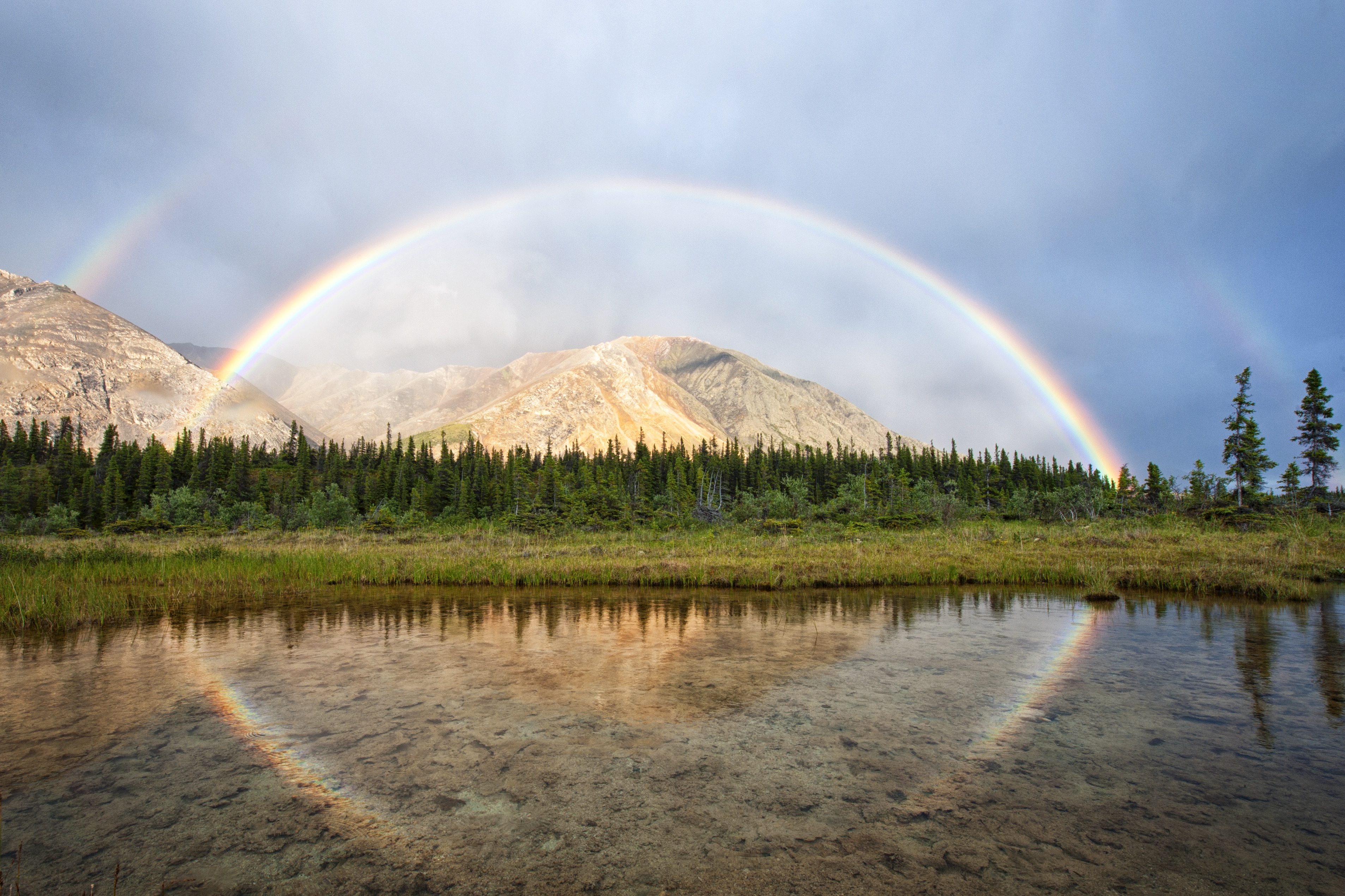 Now open | Travel Yukon - Yukon, Canada | Official Tourism Website for