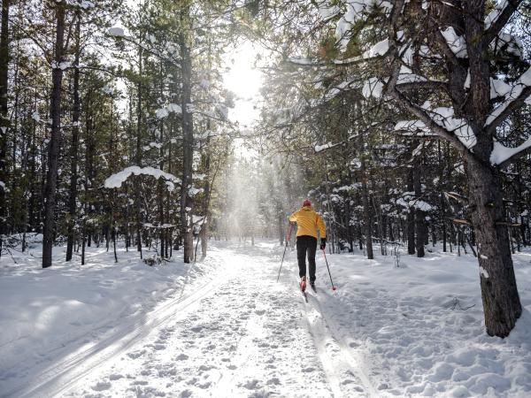 8 must-do winter activities | Travel Yukon - Yukon, Canada | Official ...