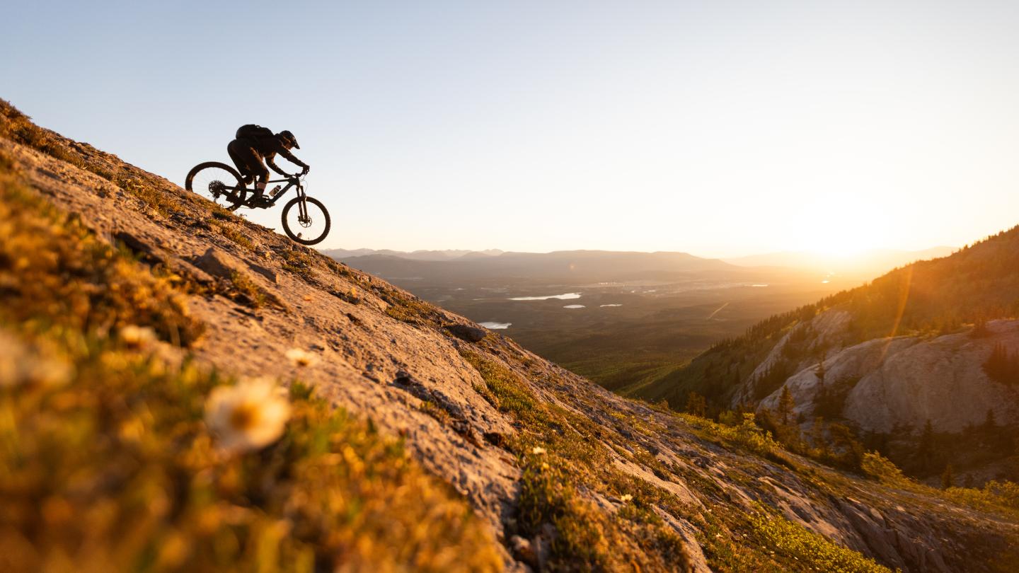 Mountain store bike