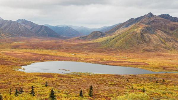 A lake is surrounded by autumn brush. Mountains stretch tall in the distance. 