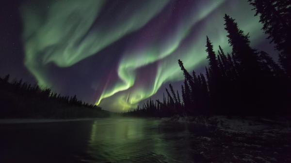 northern lights over the fishing branch river