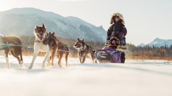 Dogsledding on a frozen lake surrounded by mountains