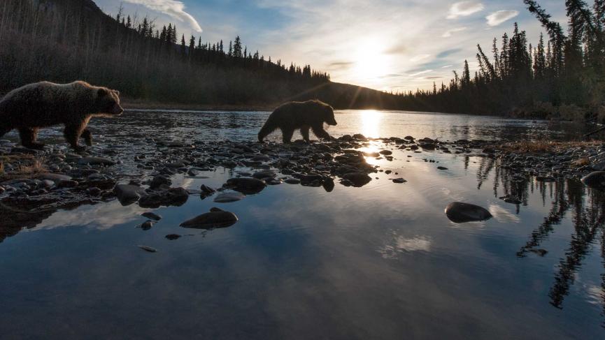 Ni'iinlii Njik (Fishing Branch) Territorial Park | Travel Yukon - Yukon ...