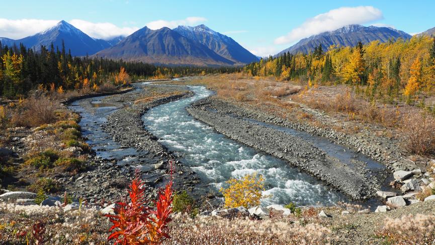 Arctic Day: Kluane National Park Tour | full day | Travel Yukon - Yukon ...