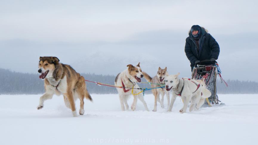 Sky High Wilderness Ranch | Travel Yukon - Yukon, Canada | Official ...