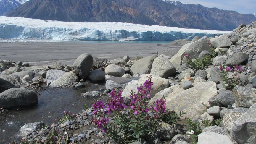 Donjek Glacier.jpg