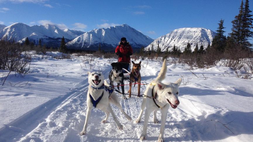 Watson trail.jpg