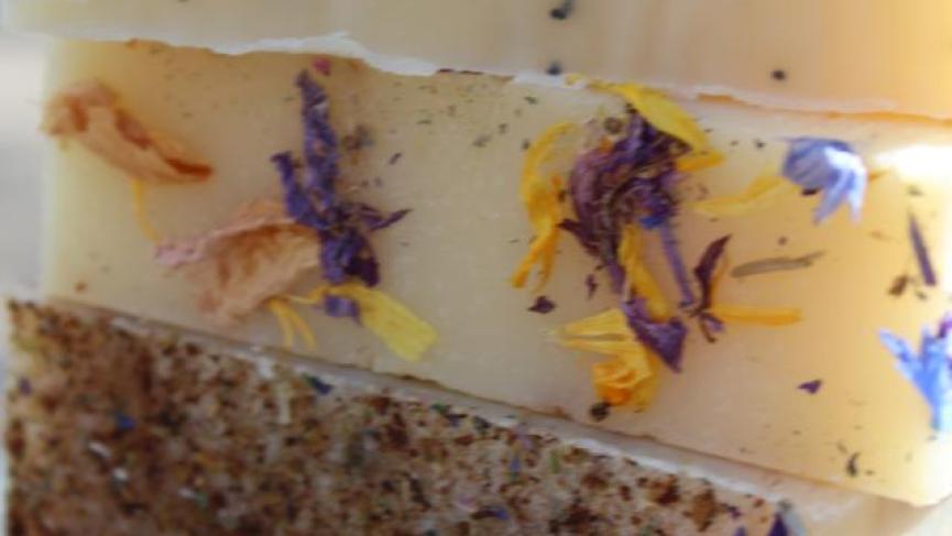 Joella Hogan soaps.jpg