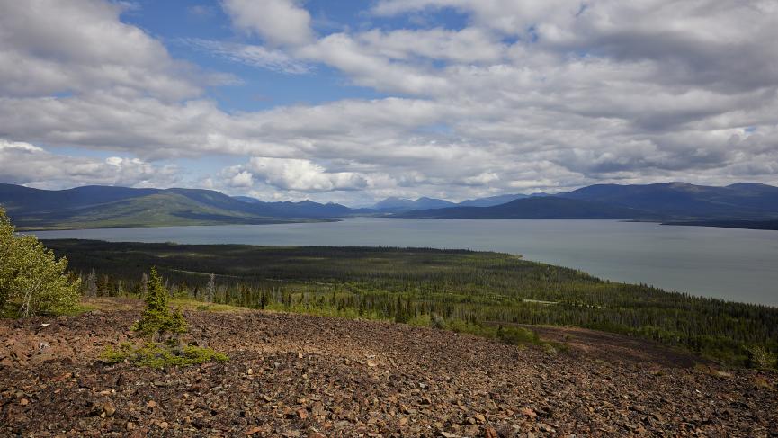 Kluane Day Trip 