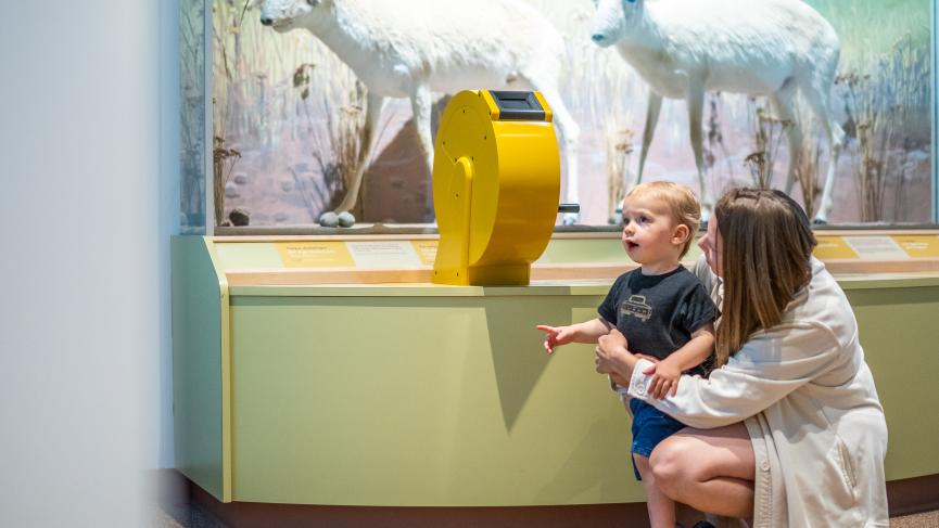 A family enjoying the exhibits at the Beringia Centre