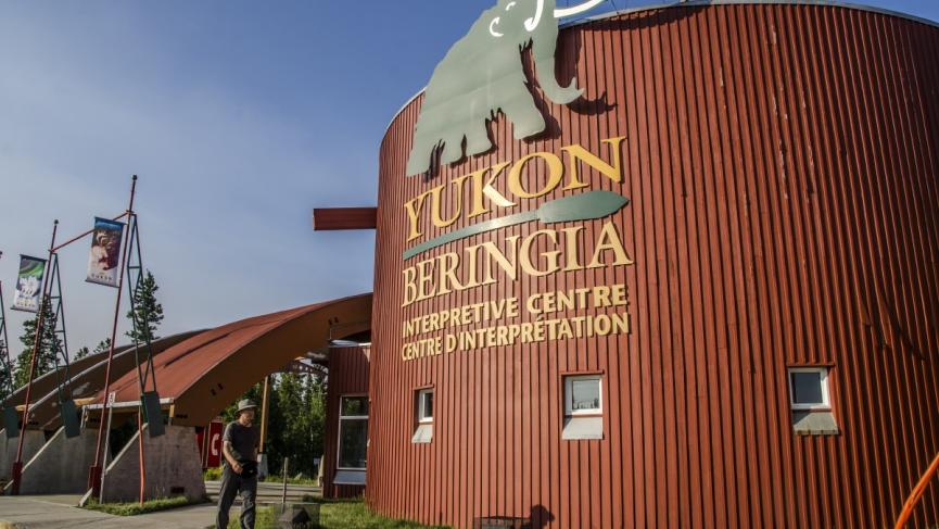 Ours Géant à Face Courte  Yukon Beringia Interpretive Centre