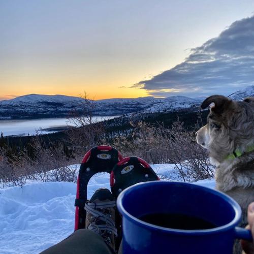 A person wearing snowshoes relaxes on top of a hill with their dog and a mug of cocoa