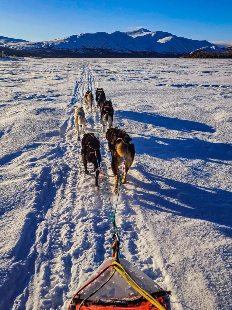 A team of 6 dogs pulls a sled across a frozen lake toward a mountain
