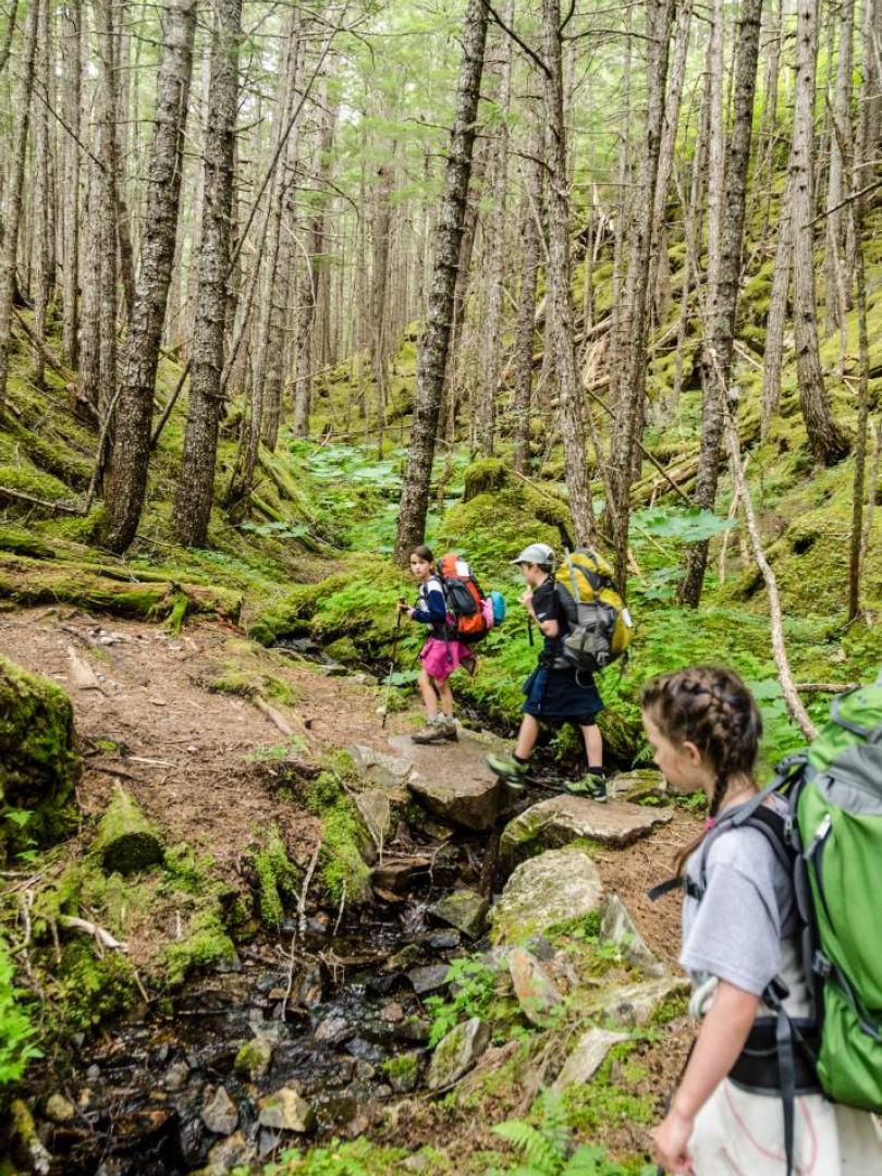 Chilkoot trail guided clearance hike