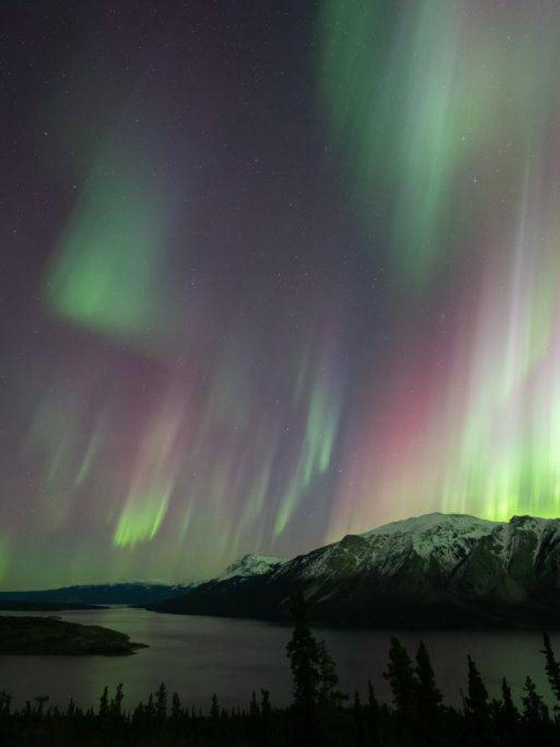 Purple, white and green aurora shine over a mountain and lake