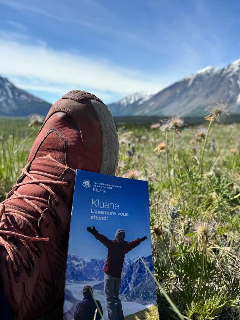 Trail in Kluane National Park and Reserve