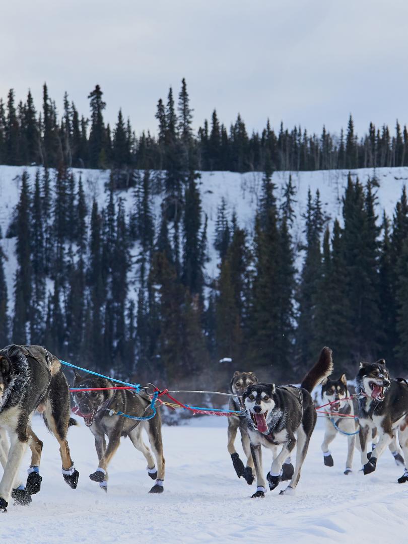 YQ250 RACE TEAM ON YUKON RIVER 2023