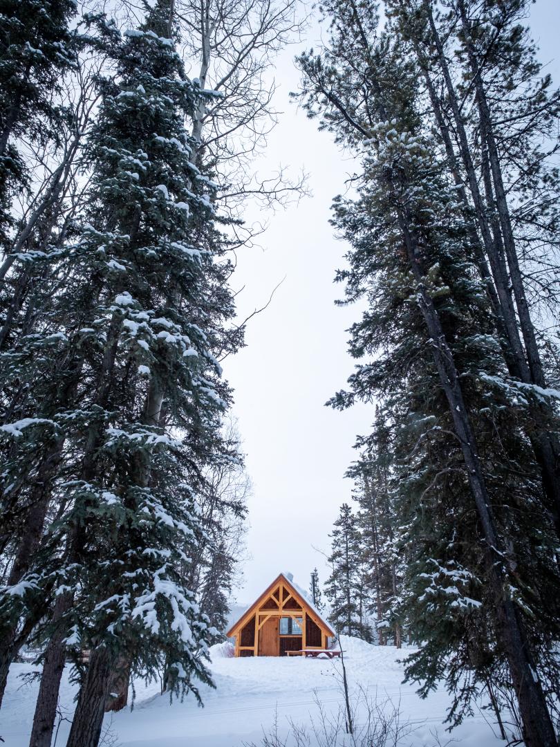 Harveys Hut of Whitehorse Nordic Ski Centre surrounded by wintry trees