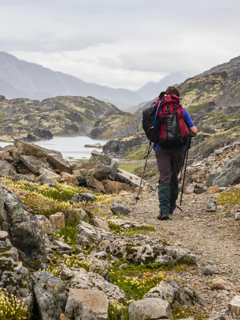 chilkoot hiker on trail sm.jpg