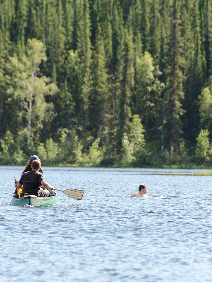 Tatchun Lake Campground | Travel Yukon - Yukon, Canada | Official ...
