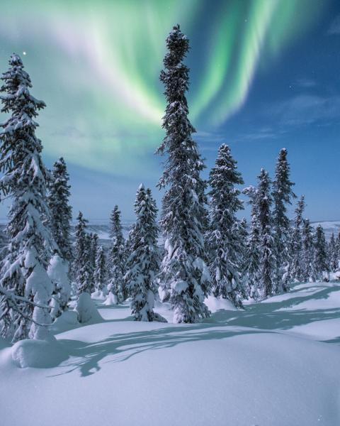 Yukon Pro Tips: Winter photography | Travel Yukon - Yukon, Canada ...