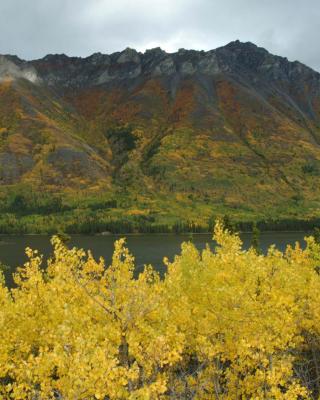A mountain covered in the colours of autumn