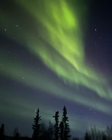 Picture of the Northern Light above the tree